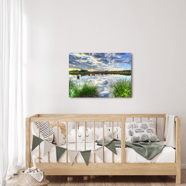 Obraz jazera s tŕstím (70x50 cm)