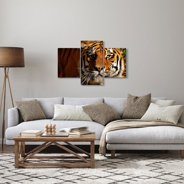 Obraz tigra (90x60 cm)