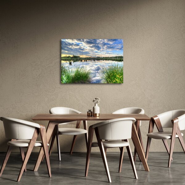 Obraz jazera s tŕstím (70x50 cm)