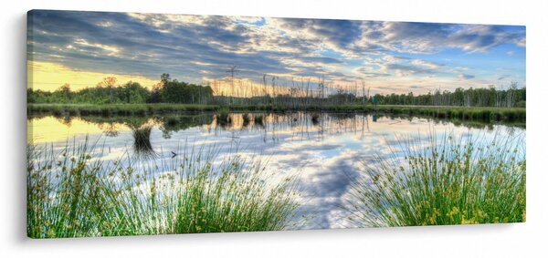 Obraz jazera s tŕstím (120x50 cm)