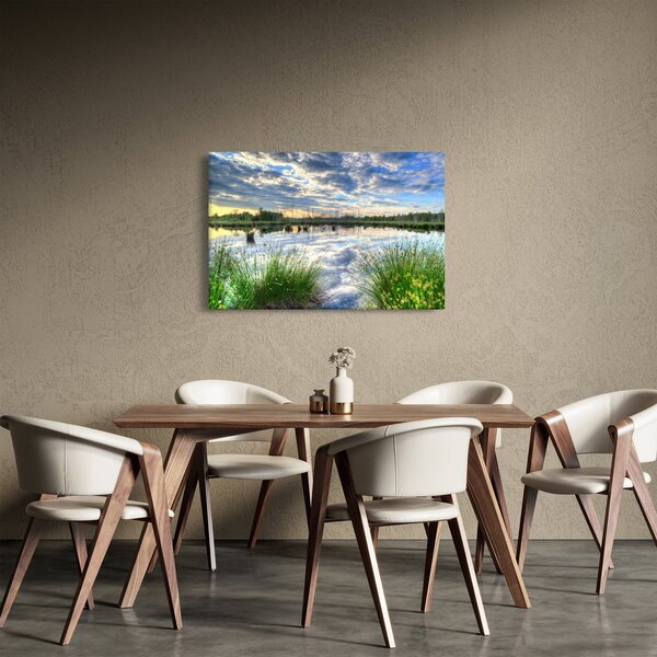 Obraz jazera s tŕstím (90x60 cm)