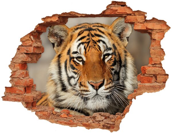 Diera 3D v stene nálepka Tiger bengálsky nd-c-88747131