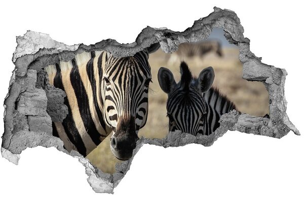 Diera 3D fototapeta nálepka Dve zebry nd-b-70684470
