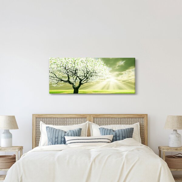 Obraz stromu na lúke (120x50 cm)