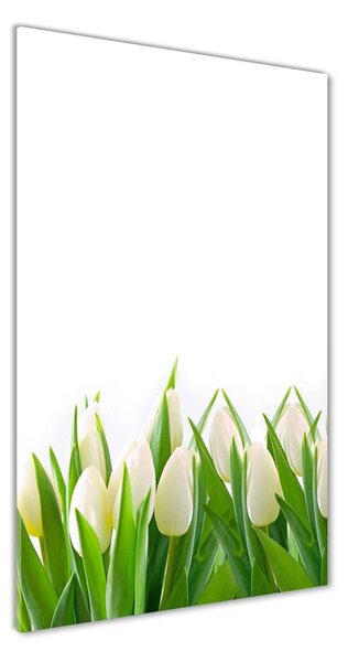 Foto obraz sklenený Biele tulipány