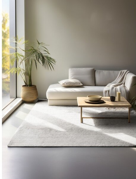 Svetlosivý obojstranný/ručne tkaný jutový koberec 160x230 cm Bouclé Jaipur – Hanse Home