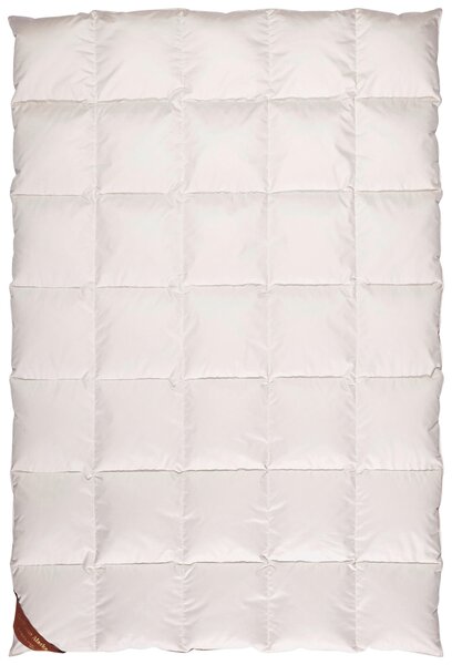 ZIMNÁ PRIKRÝVKA, 135/200 cm, kačacie páperie Centa-Star - Prikrývky & vankúše, Online Only