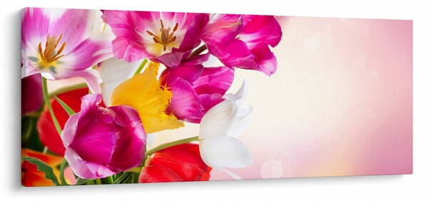 Obraz tulipánov (120x50 cm)