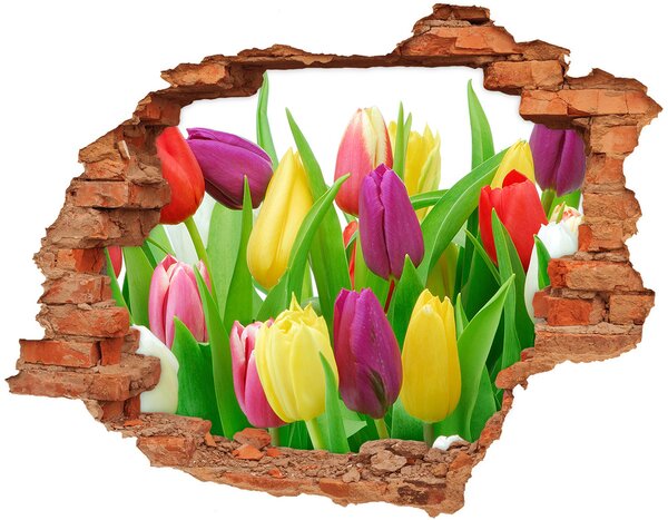 Fototapeta diera na stenu 3D Farebné tulipány