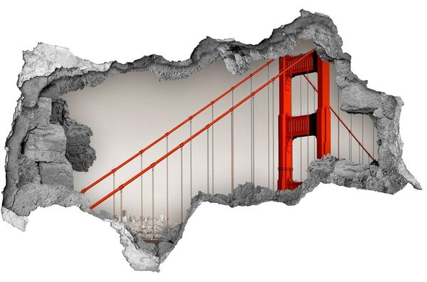Fototapeta diera na stenu 3D Bridge v san franciscu