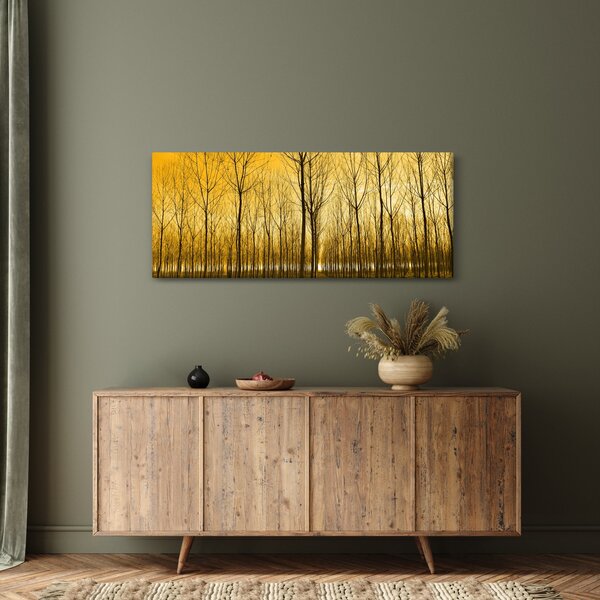Obraz - Plantáž stromov (120x50 cm)