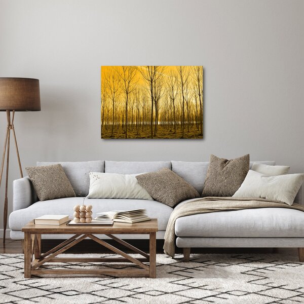 Obraz - Plantáž stromov (70x50 cm)