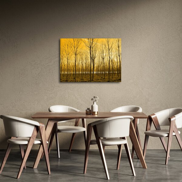 Obraz - Plantáž stromov (70x50 cm)