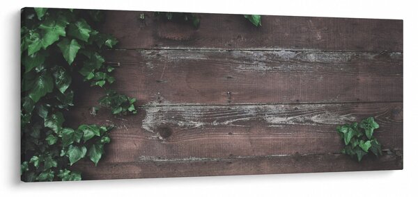 Obraz - Brečtan (120x50 cm)