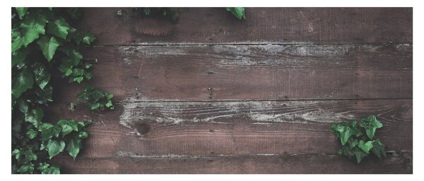 Obraz - Brečtan (120x50 cm)