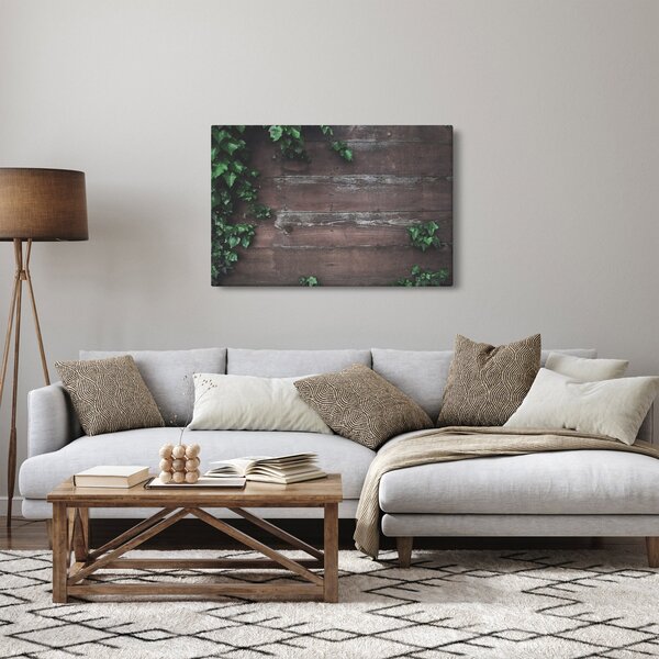 Obraz - Brečtan (90x60 cm)