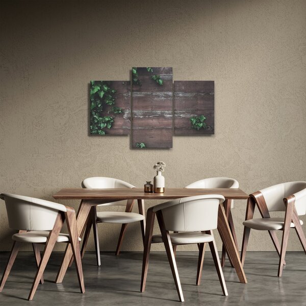 Obraz - Brečtan (90x60 cm)