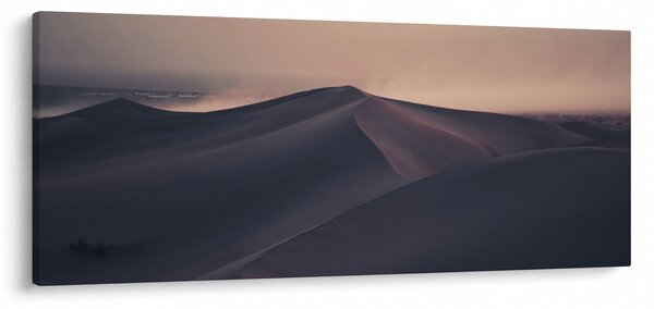 Obraz - Piesočné duny (120x50 cm)