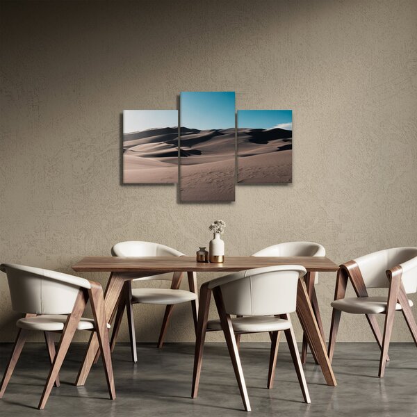 Obraz - Z púšte (90x60 cm)