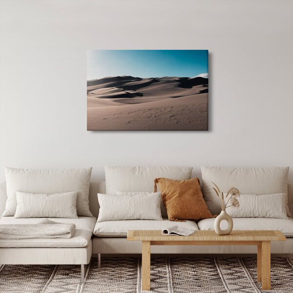 Obraz - Z púšte (90x60 cm)