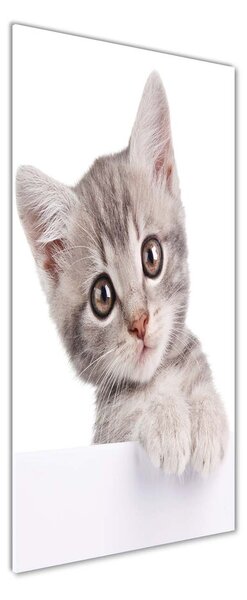 Foto obraz sklo tvrzené Sivá mačka