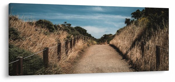 Obraz - Na chodníku (120x50 cm)