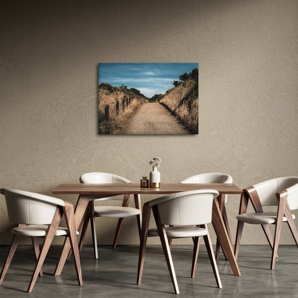 Obraz - Na chodníku (70x50 cm)