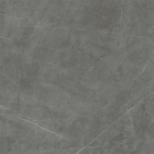 Tessino Grey Pulido 120x120 R