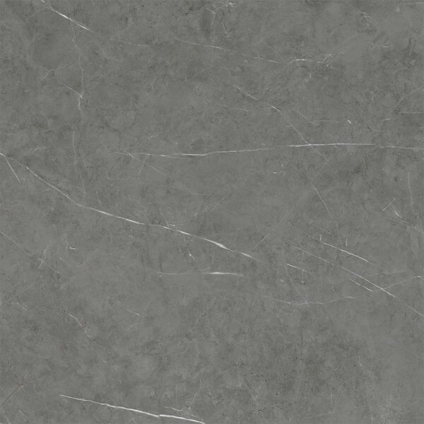 Tessino Grey Pulido 120x120 R