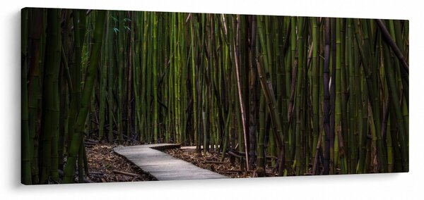 Obraz - Medzi bambusy (120x50 cm)