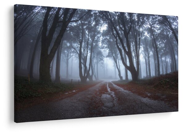 Obraz - Za daždivého dňa (90x60 cm)