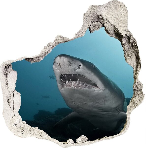 Fotoobraz diera na stenu Veľký žralok nd-p-120086004