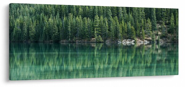 Obraz - Ihličnany pri jazere (120x50 cm)
