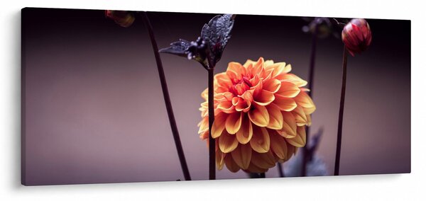 Obraz - Kvietok (120x50 cm)