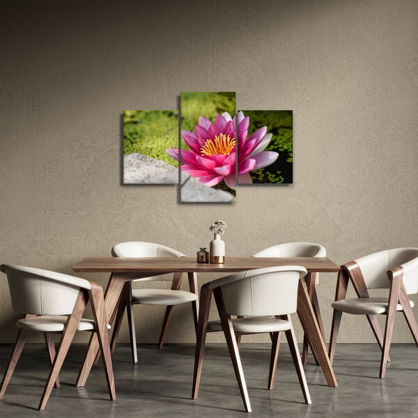 Obraz - Lekno (90x60 cm)