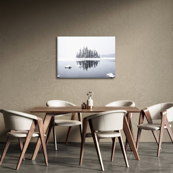 Obraz- Bolo bielo (70x50 cm)