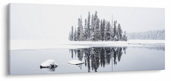Obraz- Bolo bielo (120x50 cm)