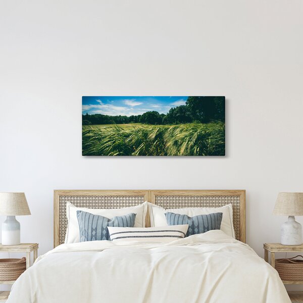 Obraz lúky a lesa (120x50 cm)