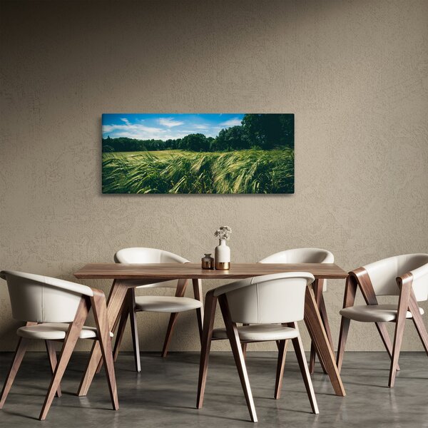 Obraz lúky a lesa (120x50 cm)