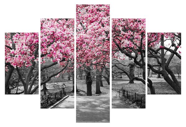 Obraz stromov Magnólie (150x105 cm)