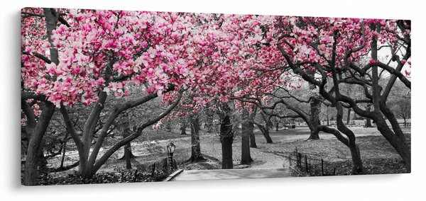 Obraz stromov Magnólie (120x50 cm)