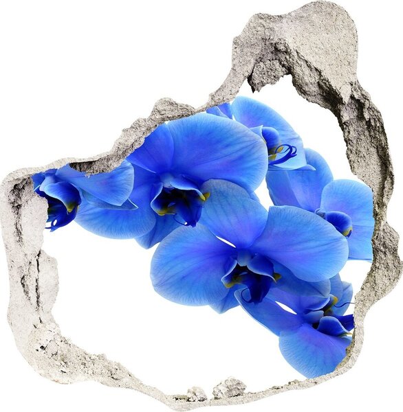 Fototapeta diera na stenu 3D Modrá orchidea nd-p-91549599