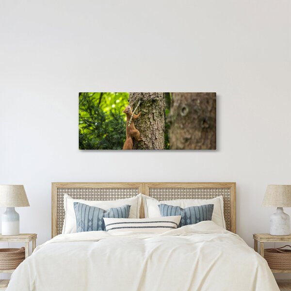 Obraz - Veverička (120x50 cm)