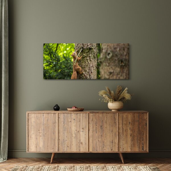 Obraz - Veverička (120x50 cm)