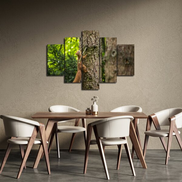 Obraz - Veverička (150x105 cm)
