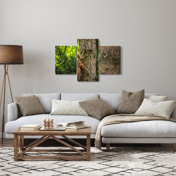 Obraz - Veverička (90x60 cm)