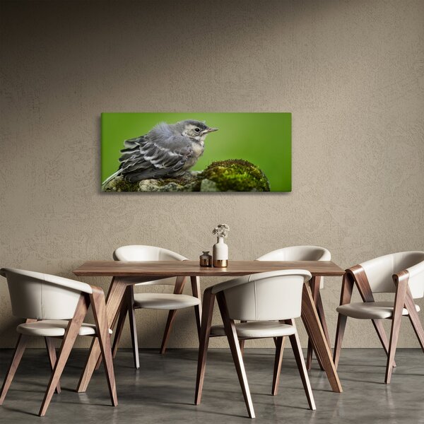 Obraz - Muchárik (120x50 cm)