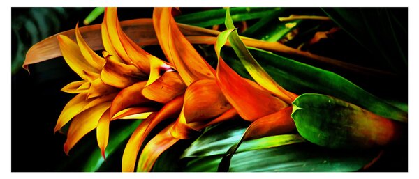 Obraz oranžovej kytice (120x50 cm)