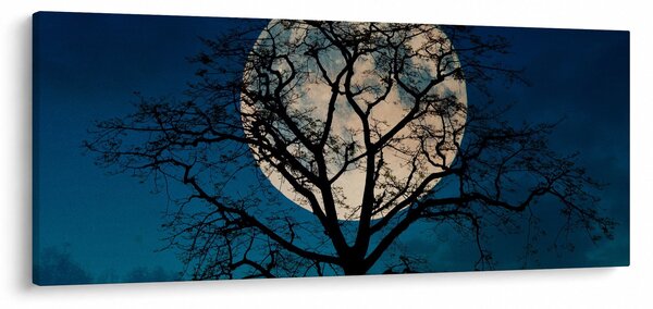 Obraz stromu so splnom (120x50 cm)