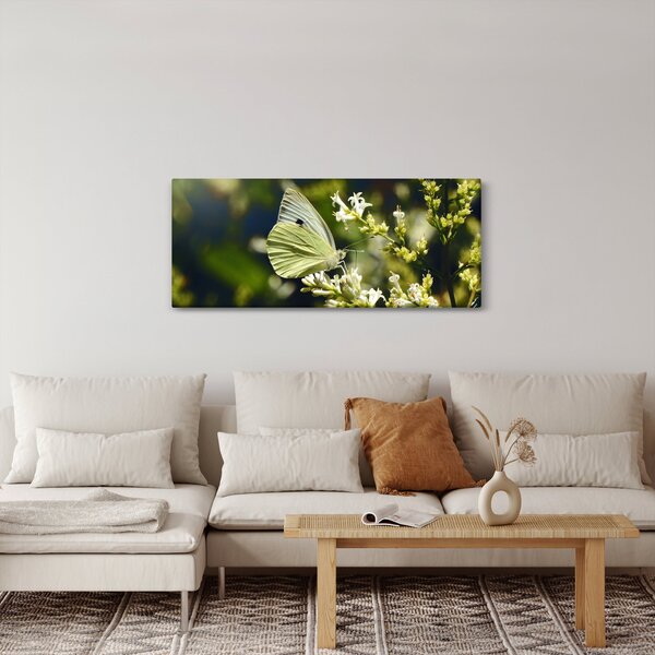 Obraz motýľa (120x50 cm)